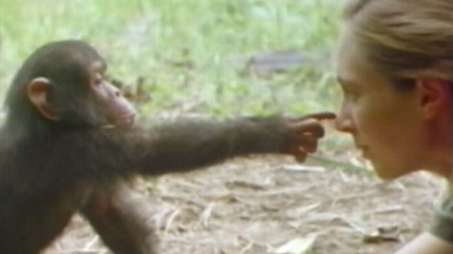 abc_wn_extra_goodall_101022_wg